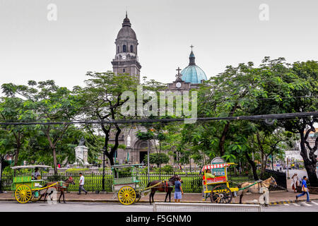 Carrozze trainate da cavalli nella parte anteriore della Cattedrale di Manila, Intramuros, Manila, Luzon, Filippine, Sud-est asiatico, in Asia Foto Stock