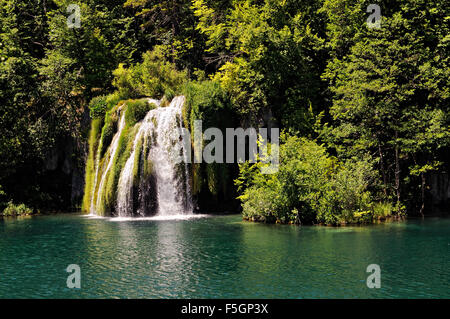 Cascata circondata da una foresta nel parco nazionale dei Laghi di Plitvice, laghi superiori gruppo, Croazia Foto Stock