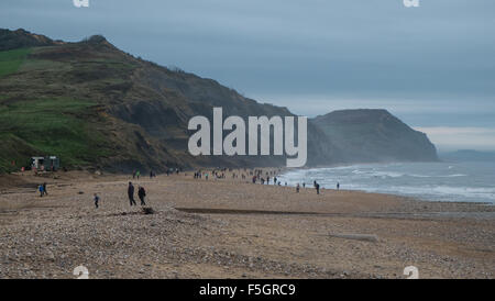 A caccia di fossili su un vento-spazzato e bagnato giorno,Jurassic Coast,Unesco,Dorset,Charmouth,cliff,beach Foto Stock