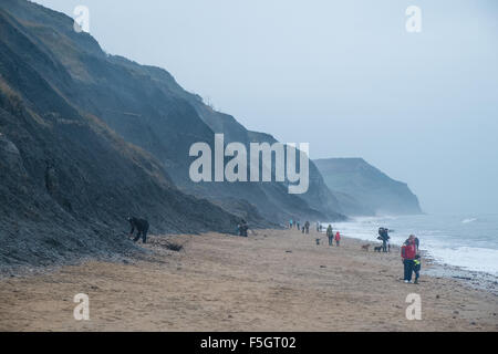 A caccia di fossili su un vento-spazzato e bagnato giorno,Jurassic Coast,Unesco,Dorset,Charmouth,cliff,beach Foto Stock