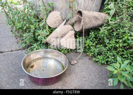 Riciclata insolito fatto a mano il cane a indicare il cane la vaschetta del separatore della condensa per il pubblico in generale di utilizzo casa residenziale nel centro di Glastonbury. Foto Stock