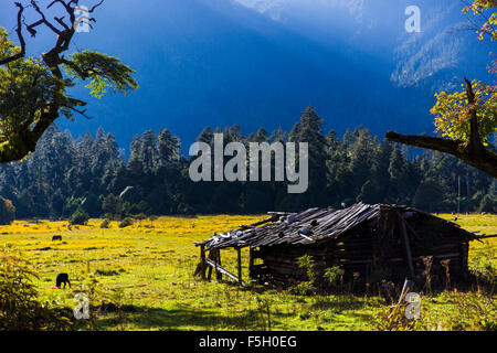 Valle Nanyi in Tibet, in Cina Foto Stock