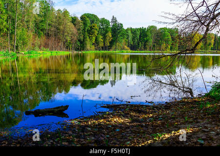 Paesaggio autunnale con il lago circondato da alberi colorati Foto Stock