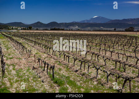 Rasteau un villaggio ai piedi del Mont Ventoux Foto Stock