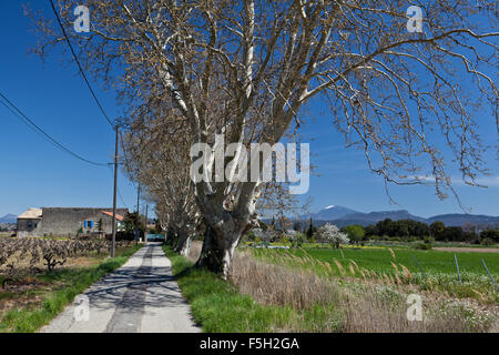 Rasteau un villaggio ai piedi del Mont Ventoux Foto Stock