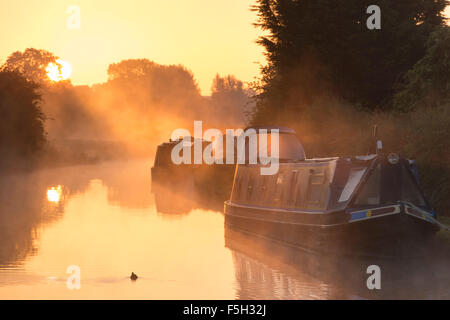 Barche a remi a Mist ormeggiate sul canale Shropshire Union a Cheshire a Sunrise Foto Stock