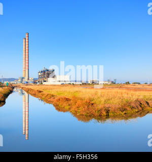 Impianto di alimentazione con due pile di fumo, campo di verde e di riflessione sull'acqua Foto Stock