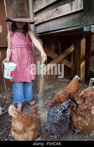 Ragazza giovane con grande vecchio cappello che copre i suoi occhi alimenta i polli al di fuori di un contenitore in plastica nel contenitore Foto Stock