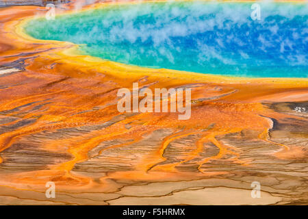 Grand Prismatic Spring, Midway Geyser Basin, il Parco Nazionale di Yellowstone, Wyoming USA