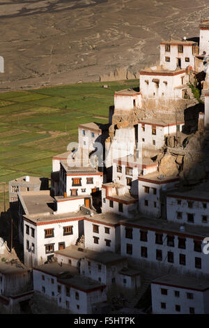 India, Himachal Pradesh, Spiti Valley, chiave monastero monaci hillside trimestri in Early Morning Light Foto Stock