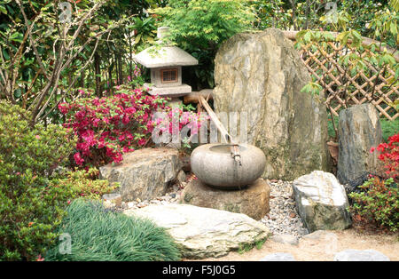 Azalea colore rosa e lanterna di pietra accanto a uno stile Giapponese acqua dispongono di un tubo di bambù e una pietra circolare pot Foto Stock