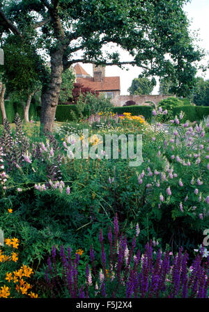 Veronica blu e viola pallido di lupini dolci in un confine in un paese grande giardino in estate Foto Stock