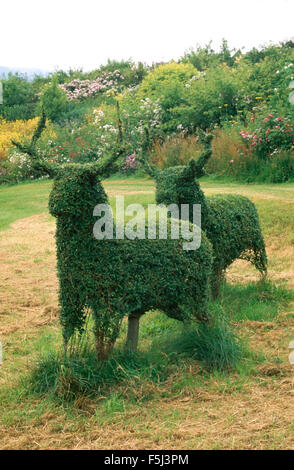 Topiaria da due cervi in un paese giardino Foto Stock