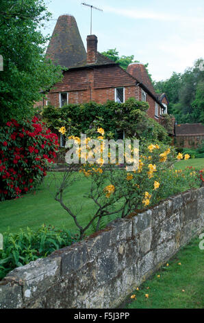 Azalea giallo vecchio muro di pietra nel giardino di convertiti oast house Foto Stock