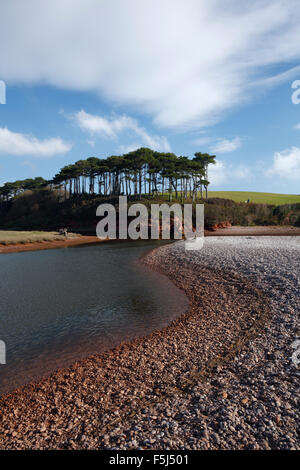 Lontra di fiume estuario. Jurassic Coast Sito Patrimonio Mondiale. Budleigh Salterton, Devon. Regno Unito. Foto Stock