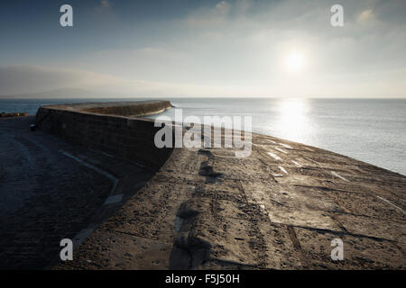 Il Cobb, Lyme Regis. Jurassic Coast Sito Patrimonio Mondiale. Il Dorset. Regno Unito. Foto Stock