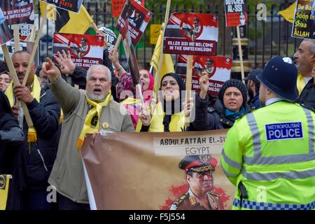 Londra, Regno Unito. 05 Nov, 2015. Manifestanti per e contro il Presidente Sisi d'Egitto protesta a Whitehall in attesa del suo arrivo a Downing Street per incontrare il Primo Ministro Credito: PjrNews/Alamy Live News Foto Stock