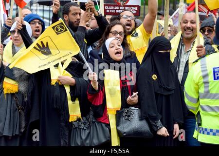 Londra, Regno Unito. 05 Nov, 2015. Manifestanti per e contro il Presidente Sisi d'Egitto protesta a Whitehall in attesa del suo arrivo a Downing Street per incontrare il Primo Ministro Credito: PjrNews/Alamy Live News Foto Stock