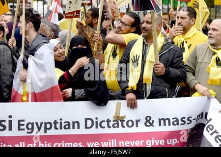 Londra, Regno Unito. 05 Nov, 2015. Manifestanti per e contro il Presidente Sisi d'Egitto protesta a Whitehall in attesa del suo arrivo a Downing Street per incontrare il Primo Ministro Credito: PjrNews/Alamy Live News Foto Stock