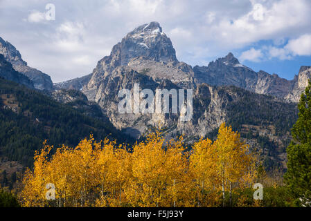 Teton Range da Taggart Lago Trail, Grand Tetons National Park, Wyoming USA Foto Stock