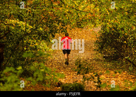 Aberystwyth Wales UK, giovedì 05 novembre 2015 UK meteo: su un panno umido e nuvoloso giorno un giovane uomo corre lungo la foglia-coperto il sentiero nel Parco Penglais natura locale riserva sulle colline sopra Aberystwyth in Galles occidentale foto © Keith Morris / Alamy Live News Foto Stock