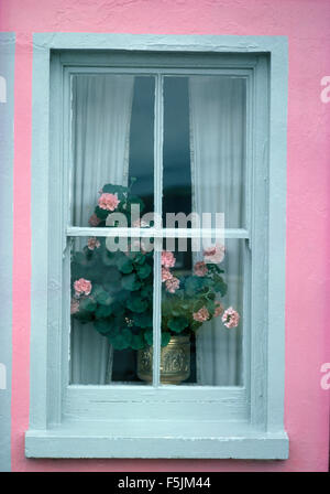 Close-up di una casa rosa con un vaso di gerani rosa nella finestra Foto Stock