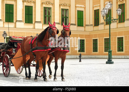 Tourist carrozza in Vienna Foto Stock