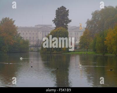 Una nebbiosa St James Park a Londra in autunno Foto Stock