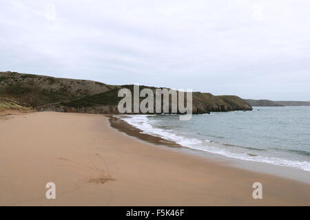 Barafundle Bay beach, Bosherston, Pembrokeshire, Dyfed Galles, Gran Bretagna, Regno Unito, Gran Bretagna, Europa Foto Stock