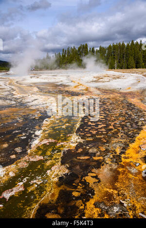 Runoff colorati da splendide, la cometa e Daisy geyser, Upper Geyser Basin, il Parco Nazionale di Yellowstone, Wyoming USA Foto Stock