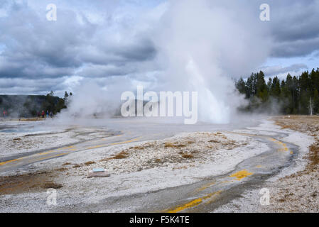 Daisy Geyser, Upper Geyser Basin, il Parco Nazionale di Yellowstone, Wyoming USA Foto Stock