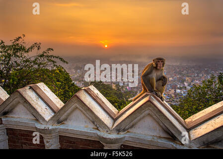 Sunrise al di sopra di Kathmandu, Nepal, visto dal tempio di Swayambhunath. Swayambhunath è anche noto come il Tempio delle Scimmie come vi Foto Stock