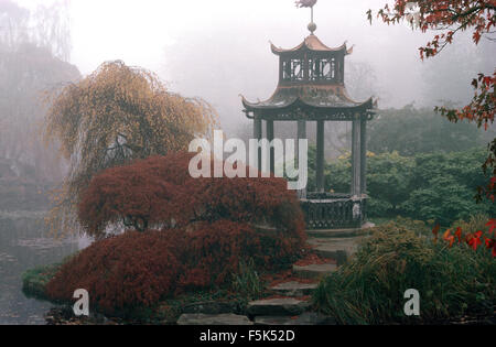 Acer accanto a passi alla pagoda cinese accanto a un lago in una nebbiosa autunnale di giardino Foto Stock