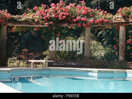 Rosa rose rampicanti su di una classica pergola in pietra accanto al turchese piscina in un paese grande giardino in estate Foto Stock