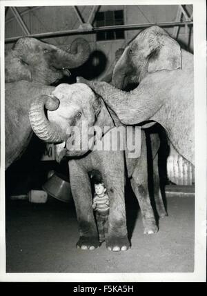 1968 - ella è solo due - ma lei treni real live elefanti. Yvone Kruse con il Bertram Mills animali.: formazione animale è nel sangue di due anni di Yvonne Kruse noi figlia del famoso trainer - ora lavorando fino il suo atto presentato dalla sua moglie alla Bertram Mills Circus - ora in trimestri invernali a Scot. Quasi sempre dal momento che lei è stato in grado di sedersi - alla vista di un elefante ha emozionato Yvonne. Gli elefanti stessi trattarla con grande rispetto. Il suo preferito è Kam - con il quale lei può fare quasi nulla . Purtroppo a causa dei regolamenti - Yvonne può solo la pratica con gli animali Foto Stock