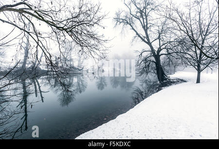 Una scena wintery ho catturato sul retro di mia proprietà in Virginia. Era una fredda mattina presto mentre la nebbia spessa appeso. Foto Stock