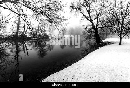 Una scena wintery ho catturato sul retro di mia proprietà in Virginia. Era una fredda mattina presto mentre la nebbia spessa appeso. Foto Stock