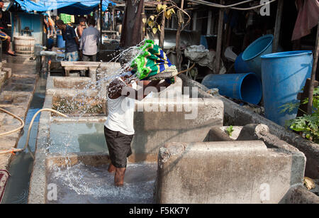 L'immagine di Washerman colpo al Dhobi Gaht in Mumbai, India Foto Stock