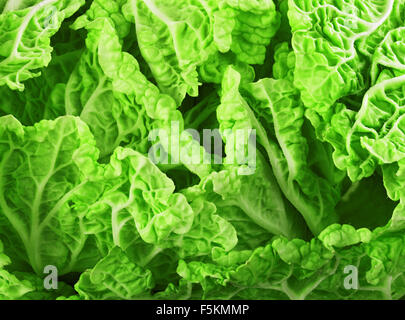 Fresche foglie di lattuga, vicino. Foto Stock