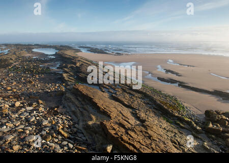 Nebbia di mattina e la nebbia sul mare e spiaggia a Scremerston, Berwick Upon Tweed, Northumberland, Inghilterra. Foto Stock