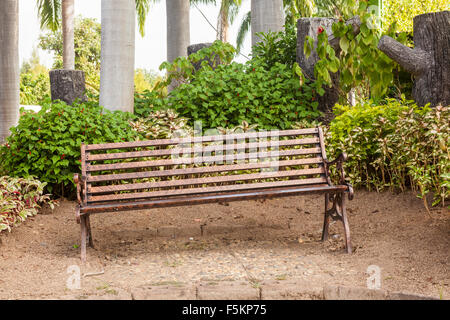 In un parco di fronte a una fila di alberi, vi è una panca in legno Foto Stock