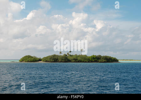 La piccola isola disabitata nell'Oceano Indiano, Rasdhoo atoll, Maldive Foto Stock