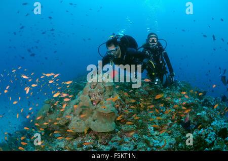 Coppia giovane subacquei nuota su una scogliera di corallo e sta guardando un branco di pesci dai colori vivaci, Oceano Indiano, Maldive Foto Stock