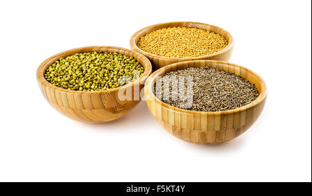 I semi di cumino, coriandolo, senape in ciotole rustiche su bianco Foto Stock