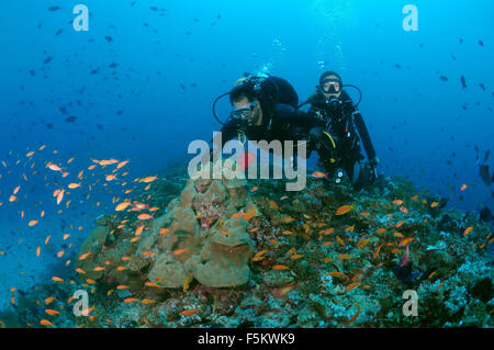 Oceano Indiano, Maldive. Il 27 settembre, 2015. Coppia giovane sub nuota su una scogliera di corallo e sta guardando un branco di pesci dai colori vivaci, Oceano Indiano, Maldive © Andrey Nekrasov/ZUMA filo/ZUMAPRESS.com/Alamy Live News Foto Stock