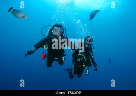 Oceano Indiano, Maldive. 27Sep, 2015. divers guardare unicornfish allungato (Naso lopezi), Oceano Indiano, Maldive © Andrey Nekrasov/ZUMA filo/ZUMAPRESS.com/Alamy Live News Foto Stock