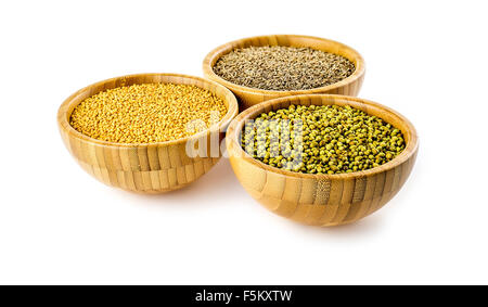 Fragrante di coriandolo, vivace giallo senape, saporito il cumino Foto Stock