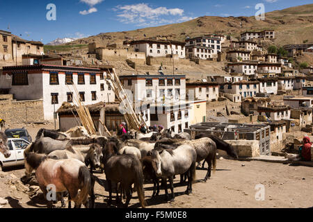 India, Himachal Pradesh, Spiti Valley, Kibber, pack cavalli essendo herded prima presa di altitudine inferiore al pascolo Foto Stock