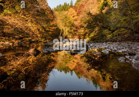 Fiume Allen nel Staward Gorge Northumberland autunno Foto Stock