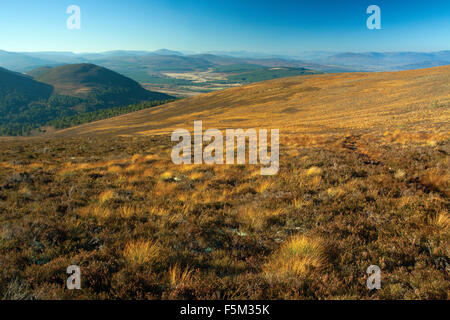 E Invereshie Inchriach Riserva Naturale Nazionale dal Geal Charn, Glen Feshie, Cairngorm National Park Foto Stock